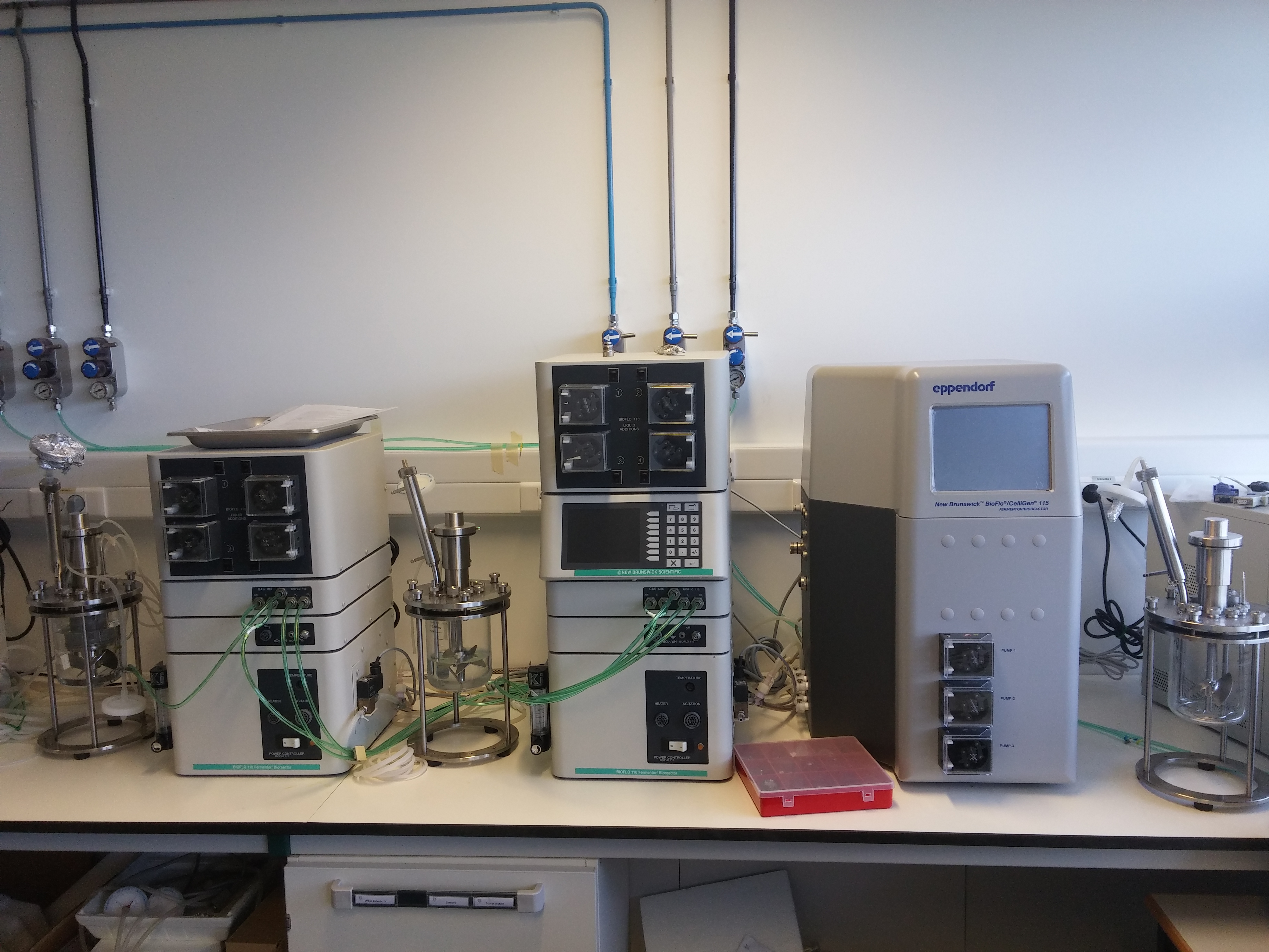 Adult stem cell laboratory